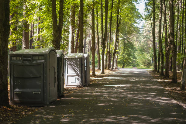 Best Local porta potty services  in Tonto Basin, AZ